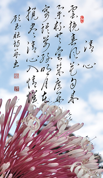 顾玉旺作品《清心》释文：云挽春风花自来，举杯共赏几度开。寄语前缘明月在 ，揽尽清心入情怀。